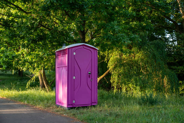 Portable Toilet Options We Offer in Charlotte, MI